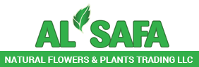 al safa plants and flowers logo